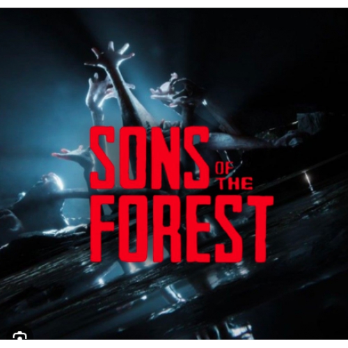  THE FOREST+SONS OF THE FOREST+ONLARCA OYUN TEK HESAP